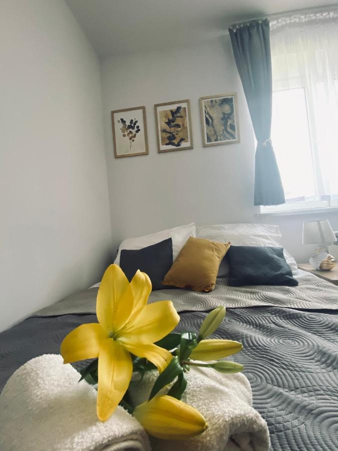 Apartamenty Majka Zator Dış mekan fotoğraf